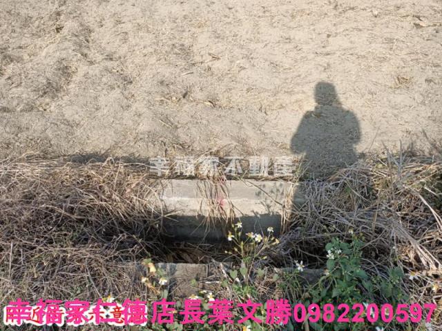 台南七股農地-12