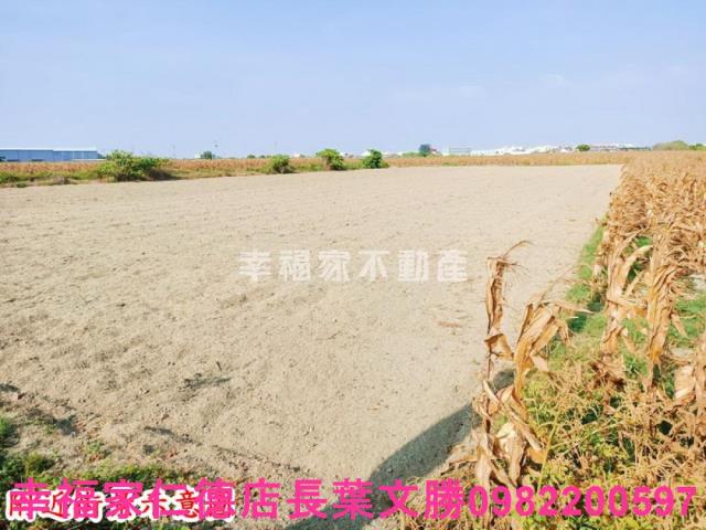 台南七股農地-13