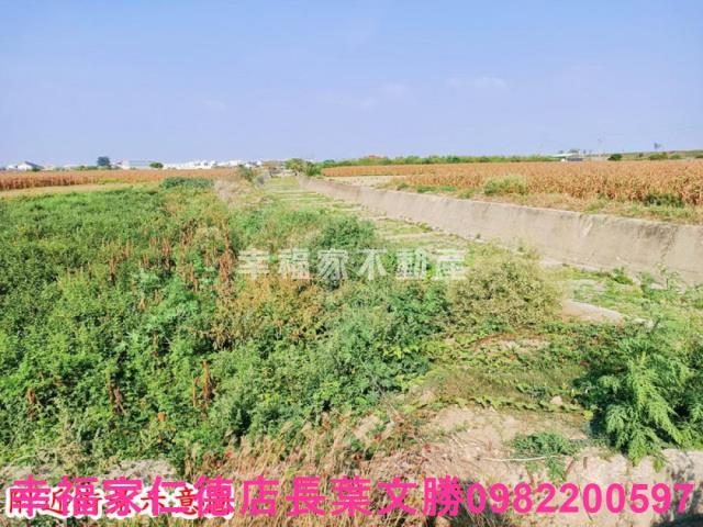 台南七股農地-5