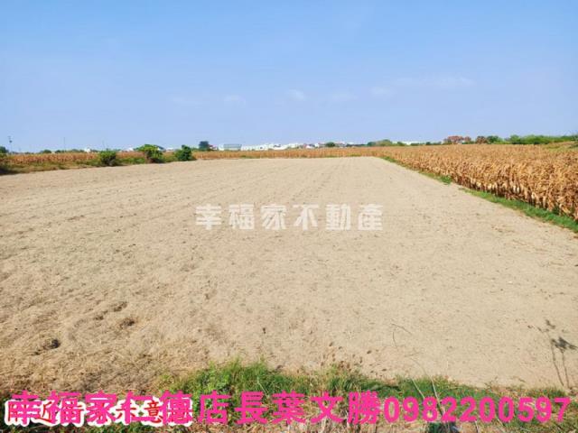 台南七股農地-7