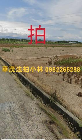 柳營農地法拍-1