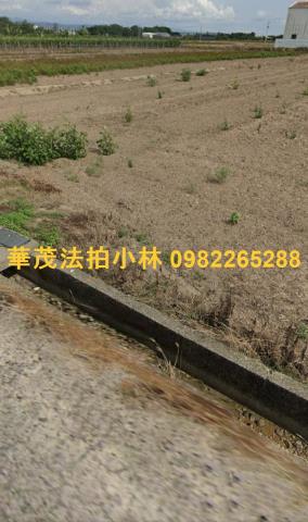 柳營農地法拍-3