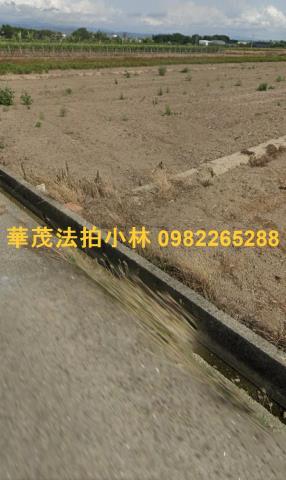 柳營農地法拍-5