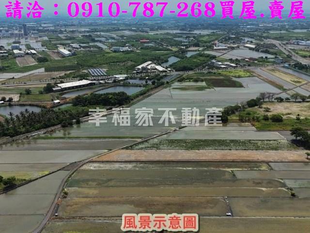 安南農地-6