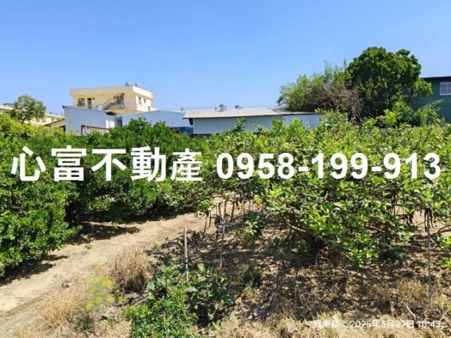 竹田農地-2