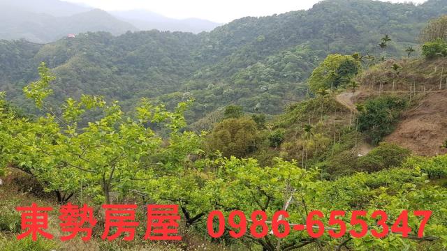 台中農地-13