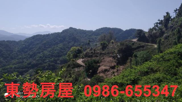 台中農地-14
