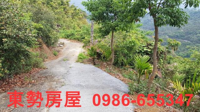 台中農地-2
