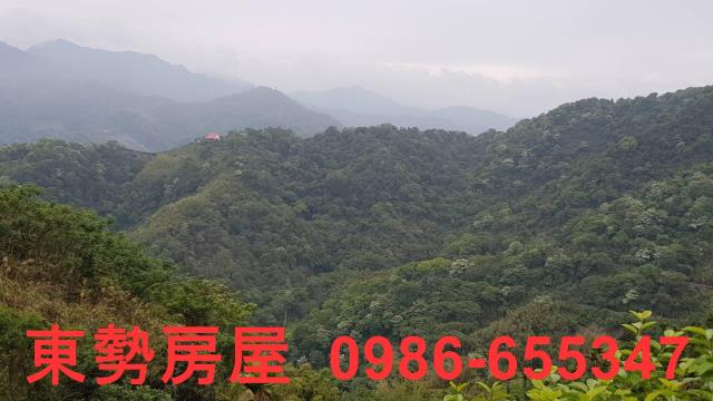 台中農地-4
