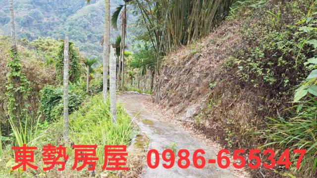 台中農地-6