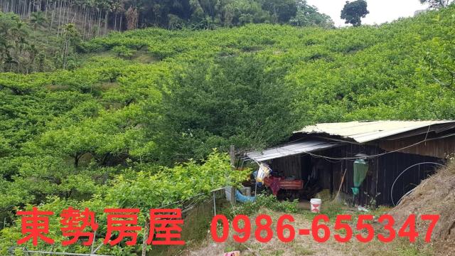 台中農地-9