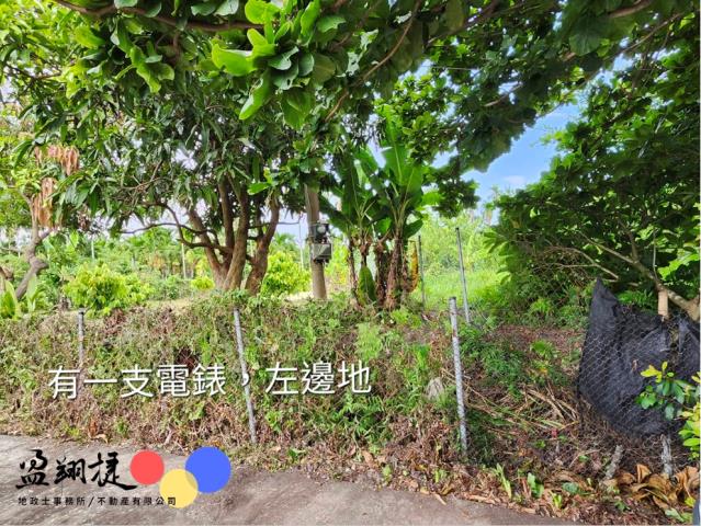 屏東新埤農地-1