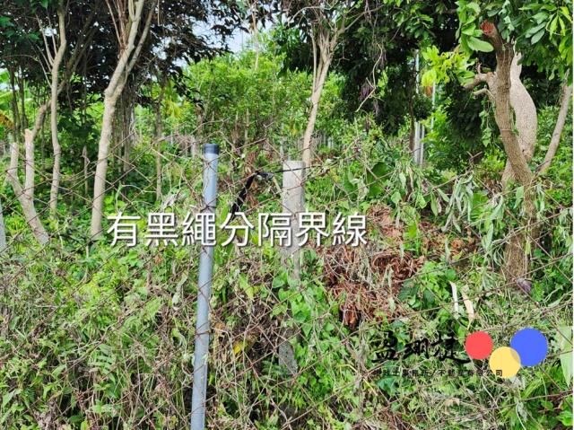 屏東新埤農地-4