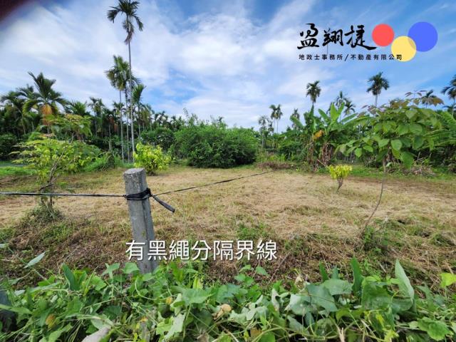屏東新埤農地-6