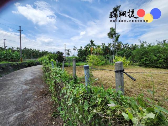 屏東新埤農地-7