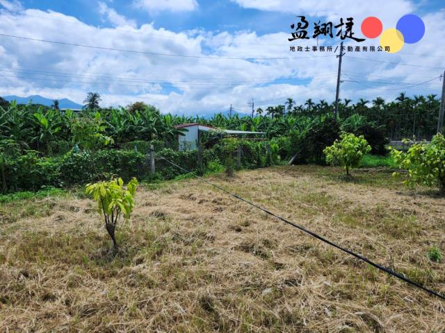 屏東新埤農地-8