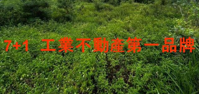 台南工業地-1