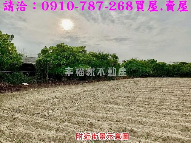 台南七股農地-10
