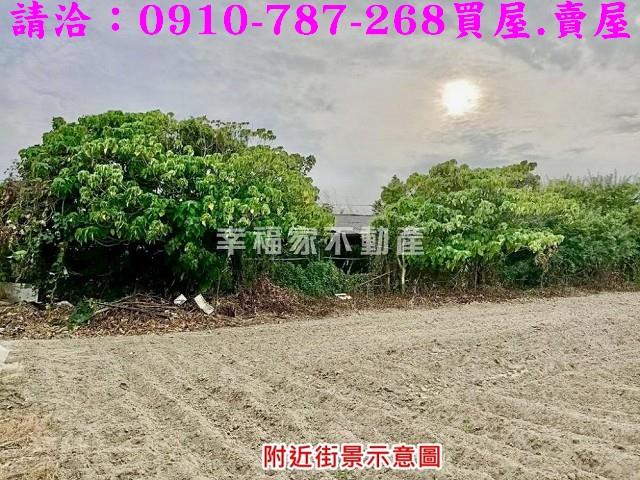 台南七股農地-9