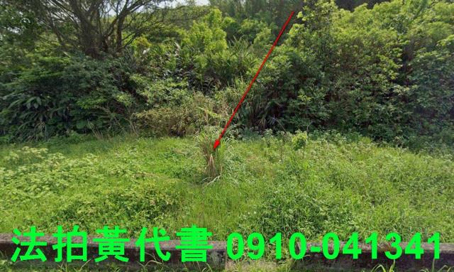 新北石門農地拍賣-1
