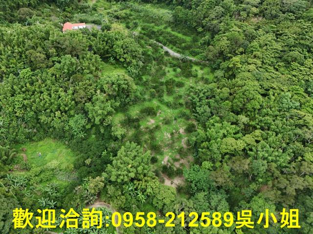 新竹關西山坡地-3