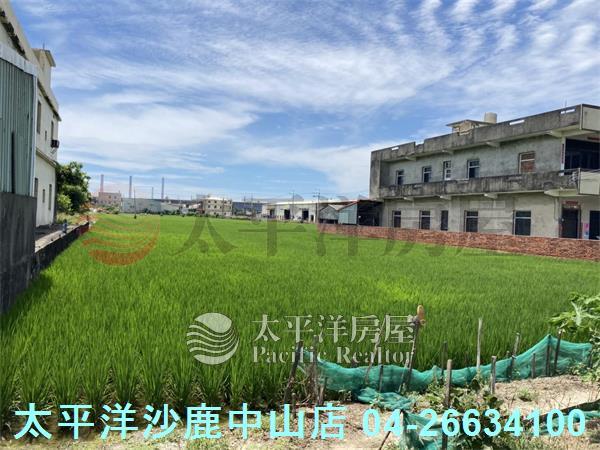 龍井農地-1