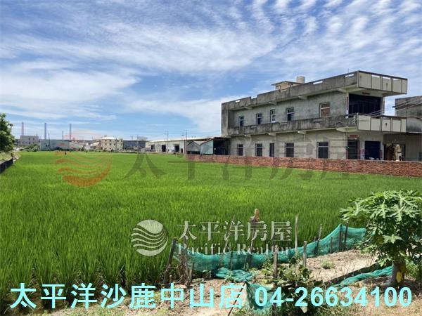 龍井農地-2