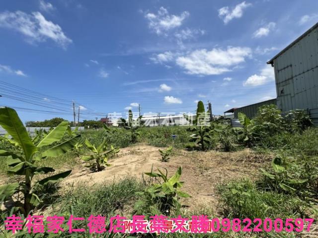 仁德農地-14
