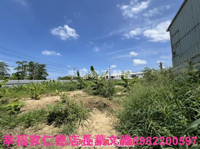 仁德農地-6