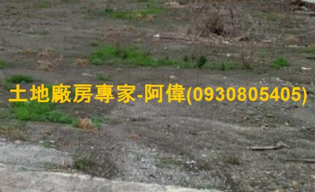新園農地-1