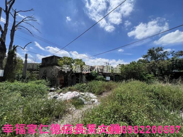 仁德農地-13