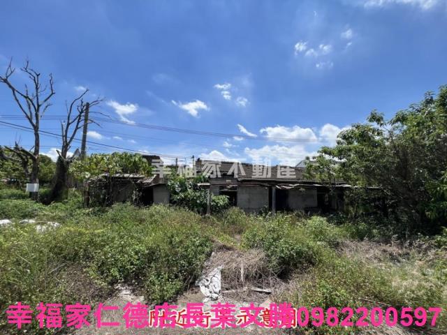 仁德農地-14