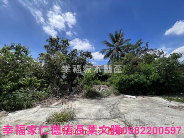 仁德農地-4