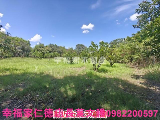 麻豆農地-13
