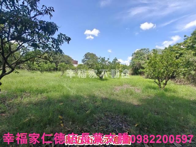 麻豆農地-15