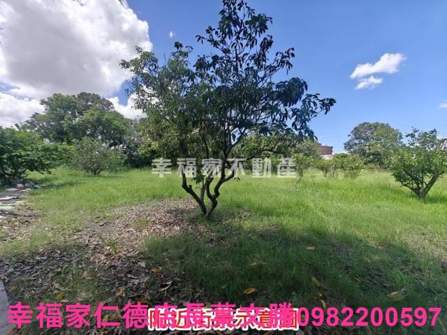 麻豆農地-4