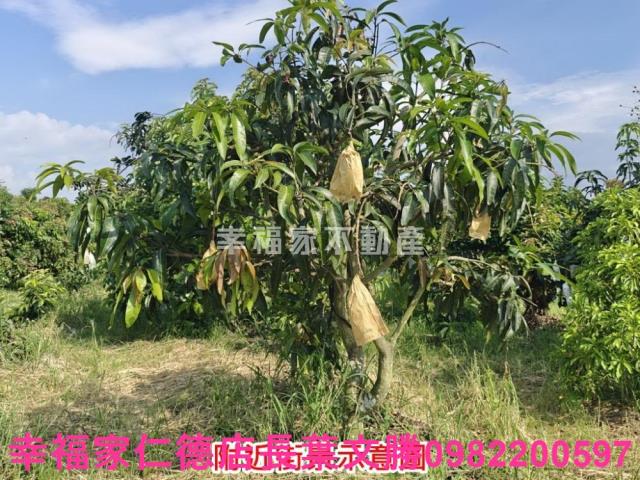 官田農地-10