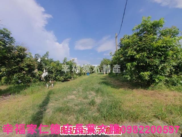 官田農地-13