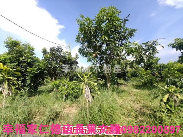 官田農地-6