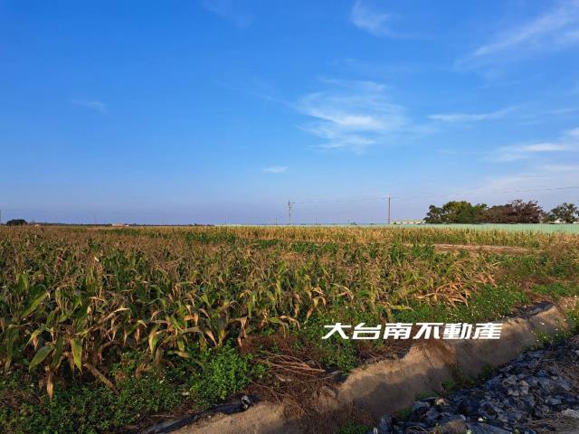 七股農地-1