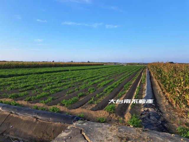 七股農地-2