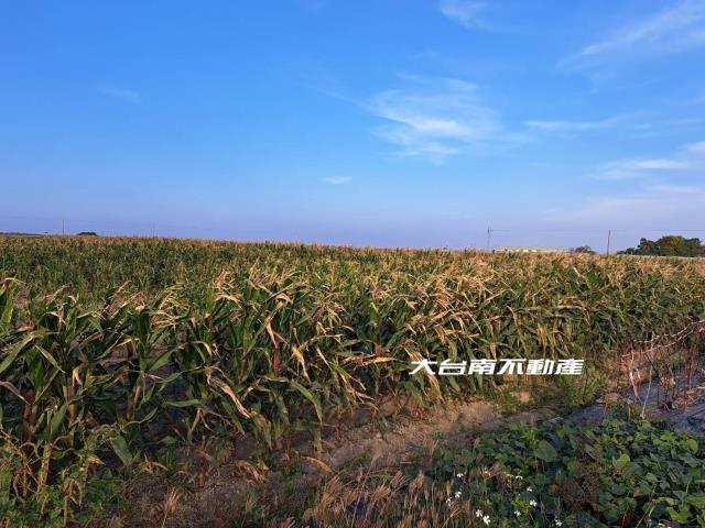 七股農地-4
