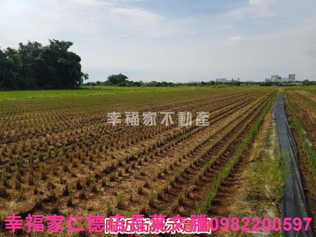 台南農地-1