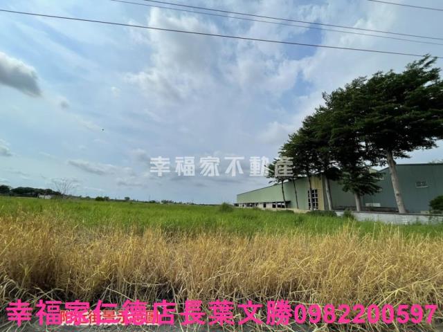 台南新營農地-6