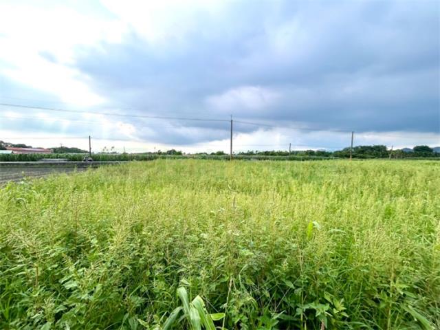 屏東高樹農地-4