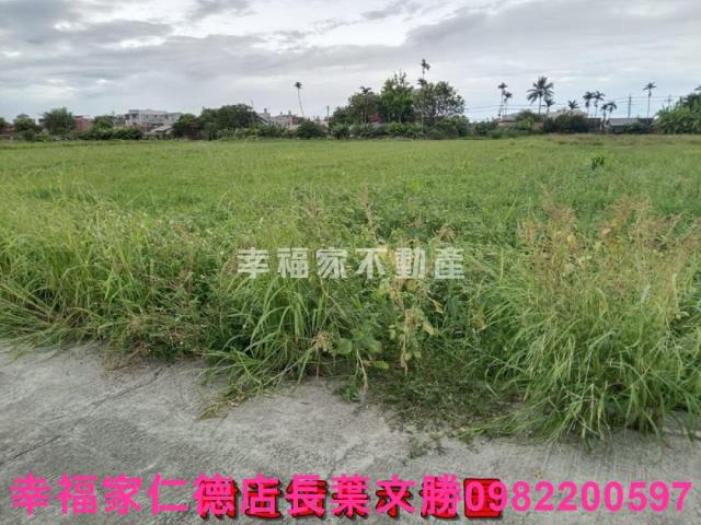 台南佳里農地-14