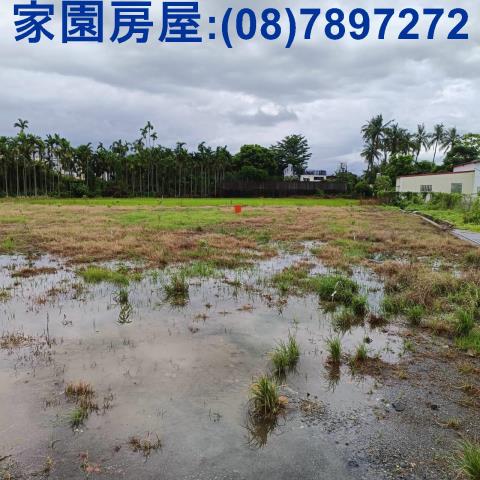 新埤農地-4