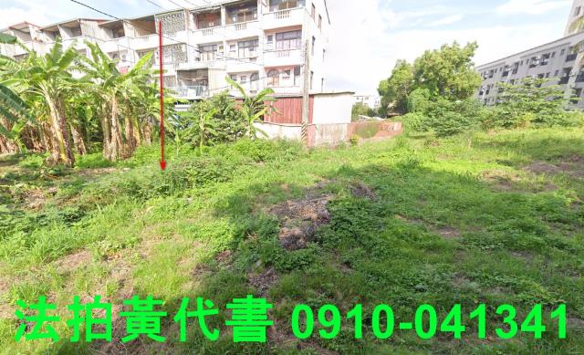 善化法拍建地-1