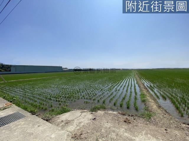 歸仁農地-7
