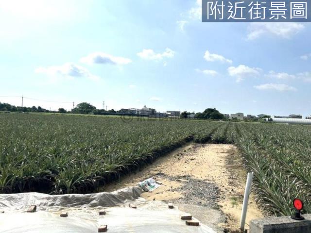 台南農地-5